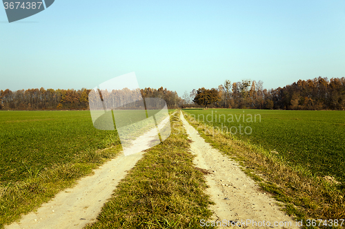 Image of  Rural Dirt road. 