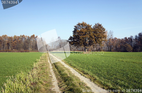 Image of  Rural Dirt road. 