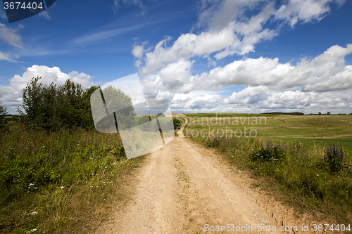 Image of Rural Dirt road 