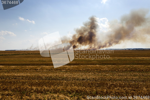 Image of fire on the field  