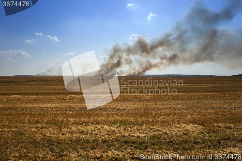 Image of Fire in the field  
