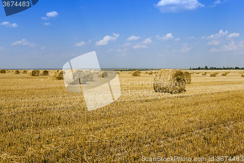 Image of haystacks straw   summer
