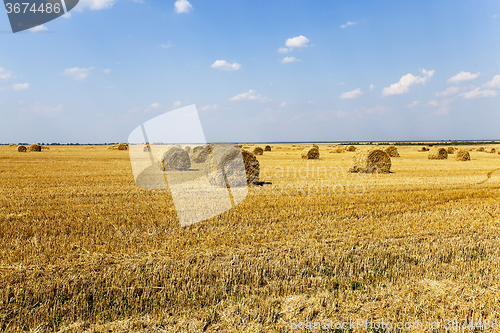 Image of haystacks straw . summer