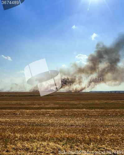 Image of Fire in the field  