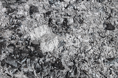 Image of Ashes and wood coal remains