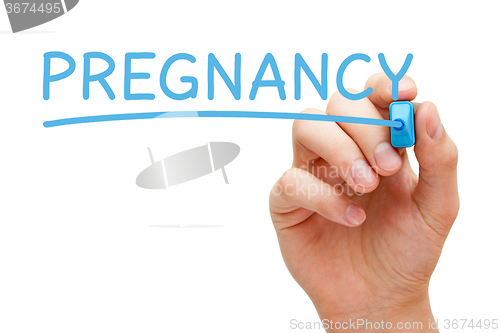 Image of Pregnancy Blue Marker