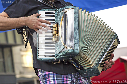 Image of Young accordionist