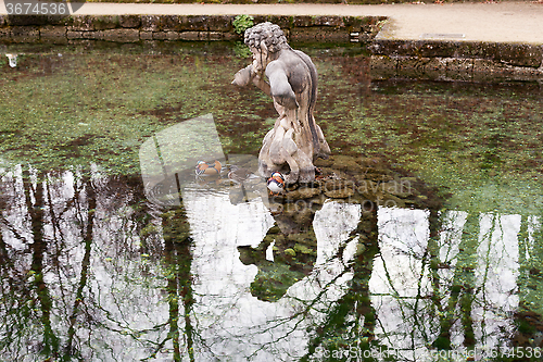 Image of Salzburg, Austria, 11/29/2015: Mandarin duck at rest in front of a sculpture in a pond