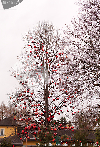 Image of Tree with big red Christmas baubles