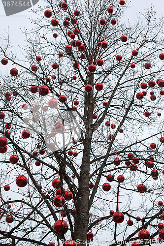Image of Tree with big red Christmas baubles