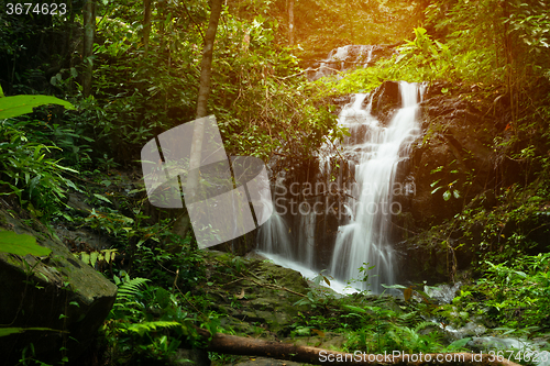 Image of Tranquil flowing waterfall in a lush rainforest