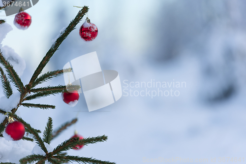 Image of christmas balls on pine tree