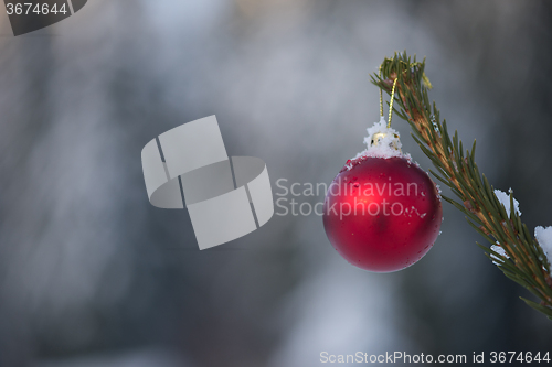 Image of christmas balls on pine tree