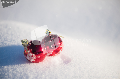 Image of red christmas ball in fresh snow