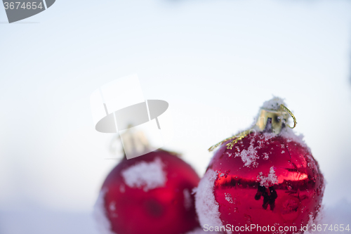 Image of christmas balls on pine tree