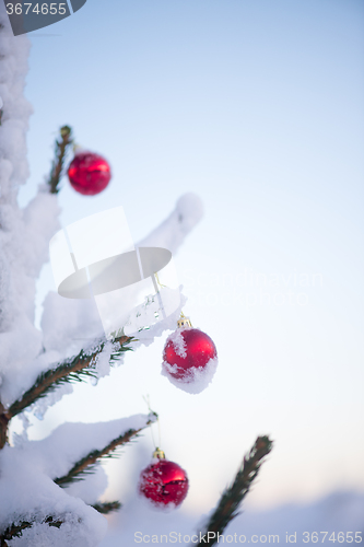 Image of christmas balls on pine tree