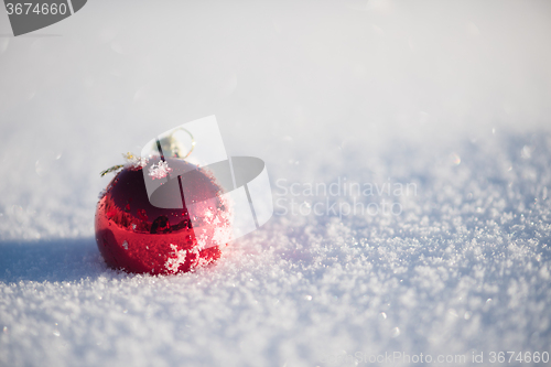 Image of red christmas ball in fresh snow