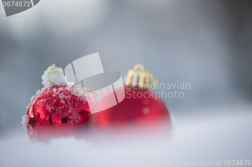 Image of red christmas balls in fresh snow