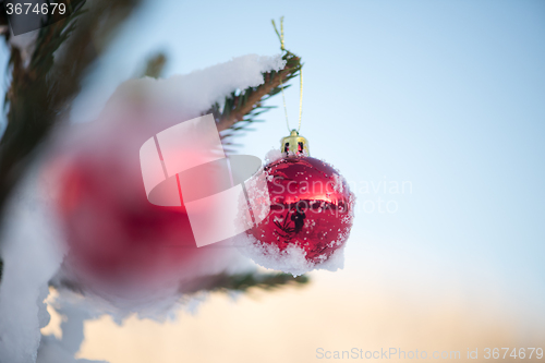 Image of christmas balls on pine tree