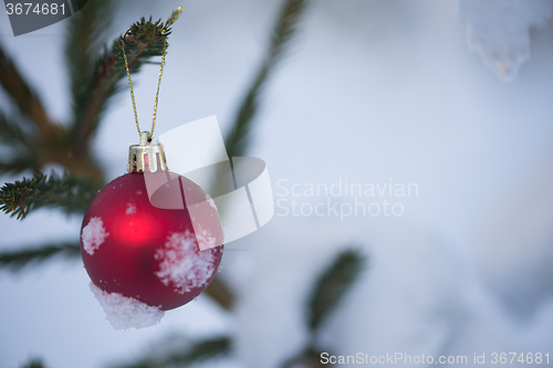 Image of christmas balls on pine tree