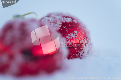 Image of red christmas ball in fresh snow