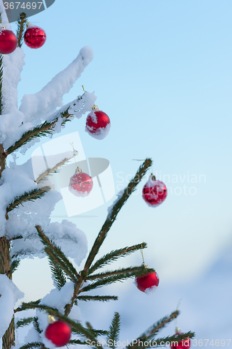 Image of christmas balls on pine tree