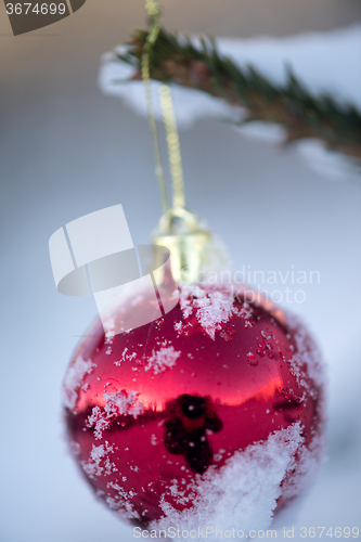 Image of christmas balls on pine tree