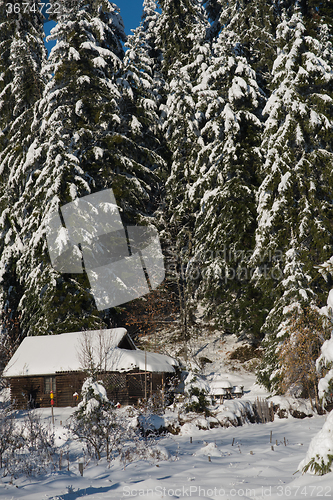 Image of small wooden  cabin in wildernes covered with fresh snow