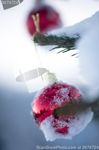 Image of christmas balls on pine tree