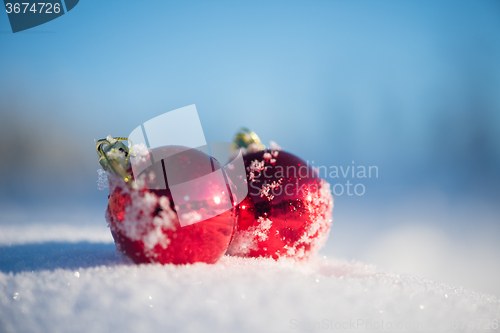 Image of red christmas ball in fresh snow