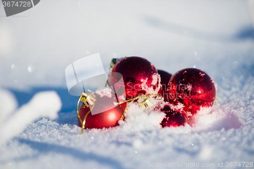 Image of red christmas ball in fresh snow