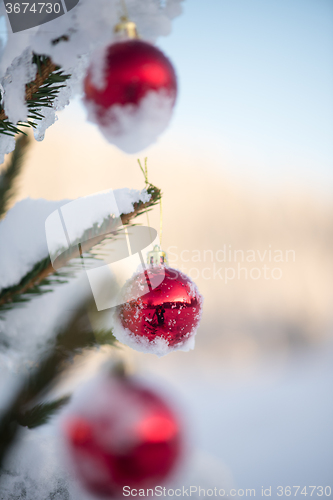 Image of christmas balls on pine tree