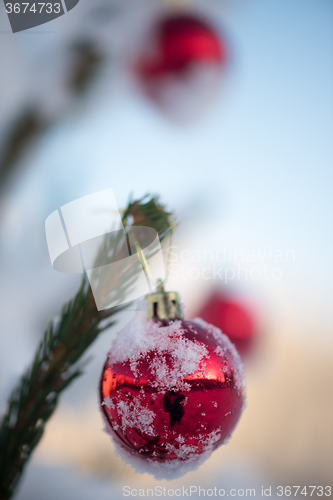 Image of christmas balls on pine tree