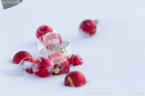 Image of red christmas balls in fresh snow