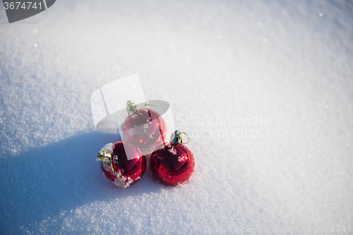 Image of red christmas ball in fresh snow