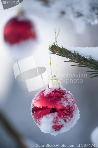 Image of christmas balls on pine tree