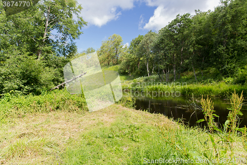 Image of summer forest and river