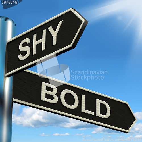 Image of Shy Bold Signpost Means Introvert Or Extrovert