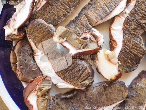 Image of Porcini mushrooms food