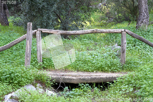 Image of Small Wooden Bridge