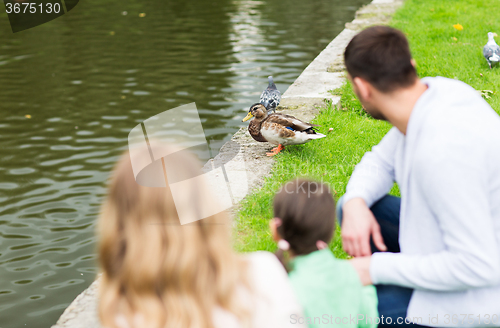 Image of family looking at duck at summer pond in park