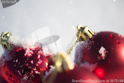 Image of red christmas ball in fresh snow