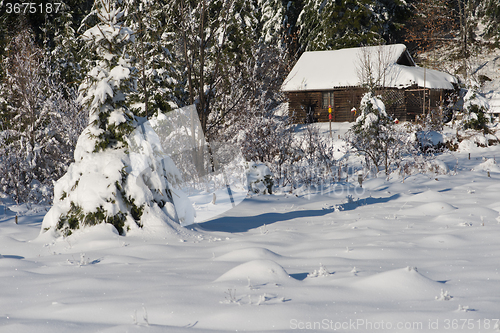 Image of small wooden  cabin in wildernes covered with fresh snow