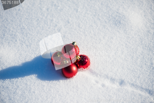 Image of red christmas ball in fresh snow