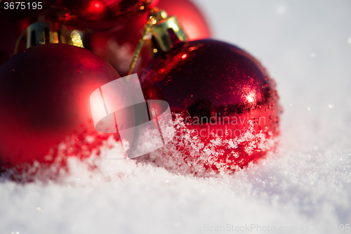 Image of red christmas ball in fresh snow