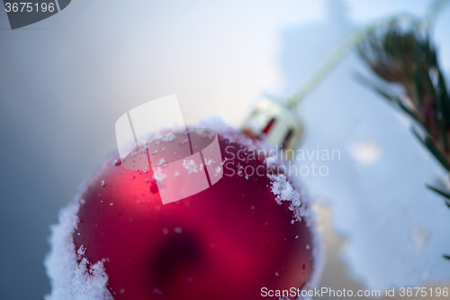 Image of christmas balls on pine tree