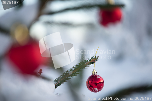 Image of christmas balls on pine tree