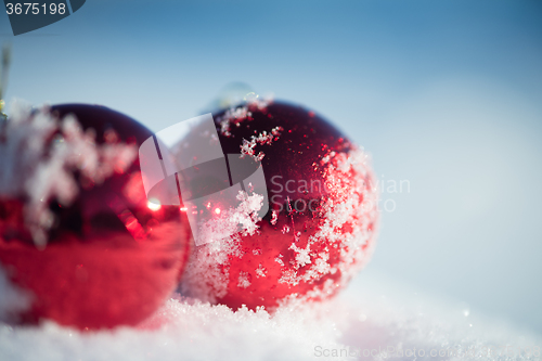 Image of red christmas ball in fresh snow