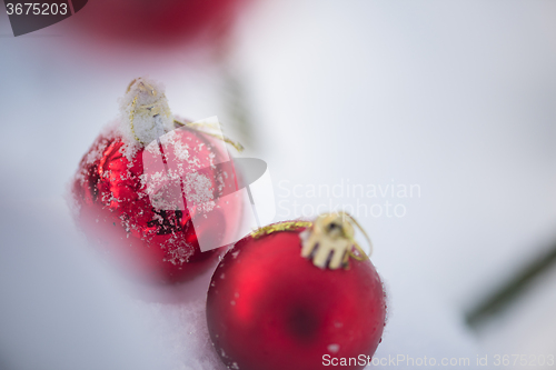 Image of red christmas balls in fresh snow