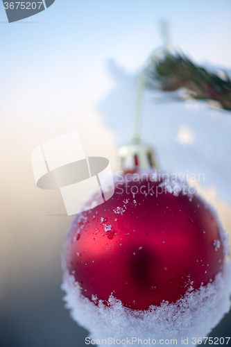 Image of christmas balls on pine tree